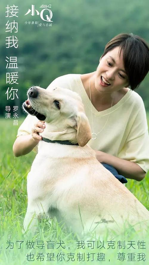 缅甸驾驶证怎么仿制